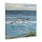 Stupell Industries Relaxed Sandpipers on Shore Canvas By Sally Swatland
